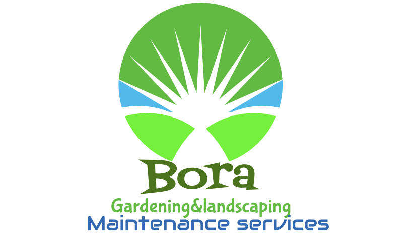 Bora Ltd — Foto 1
